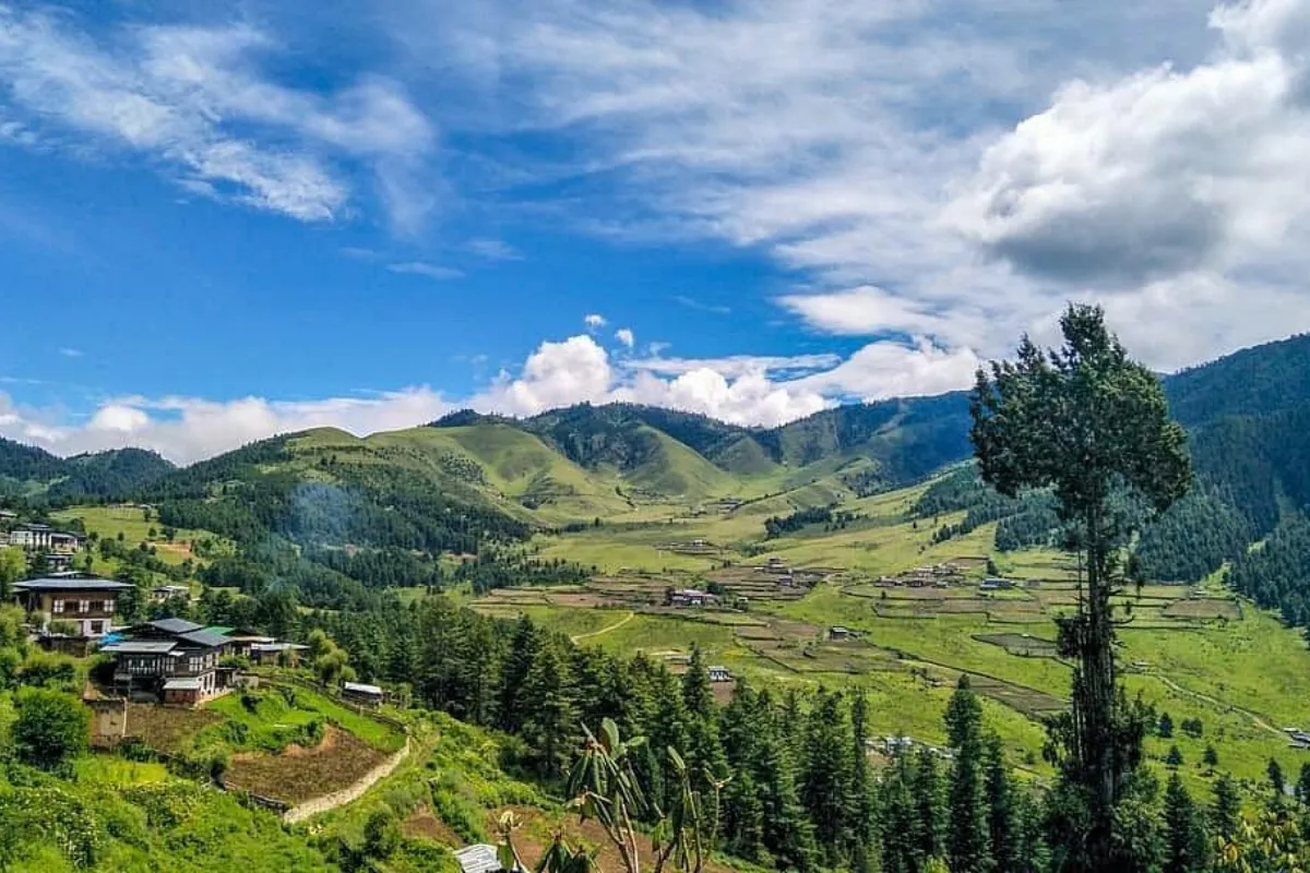  Phobjikha Valley 